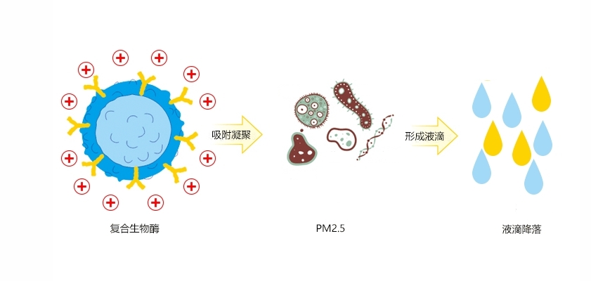 生物酶臭氧/PM2.5凈化劑助力大氣污染防治，讓冬奧藍成為常態